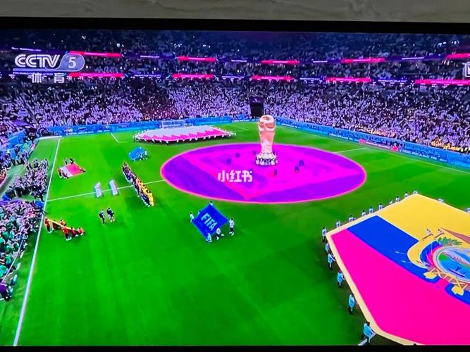 卡塔尔世界杯开幕式直播频道