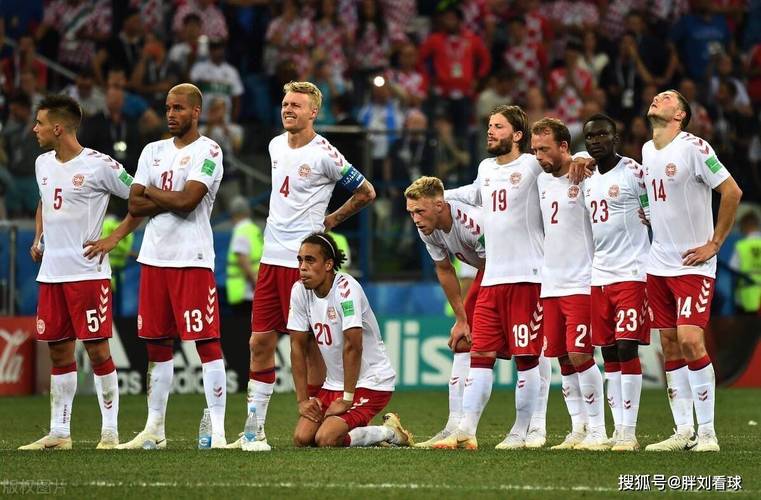 直播:丹麦vs突尼斯